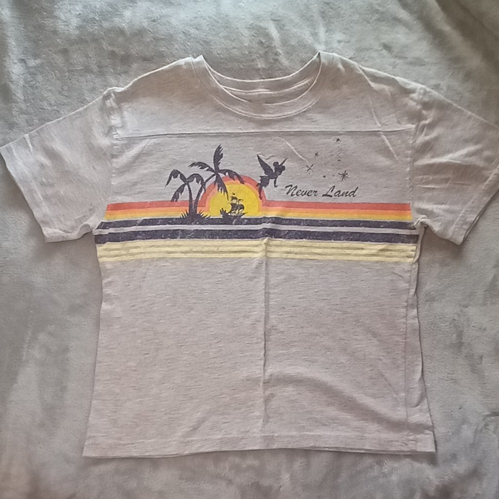 Disney Crop Top